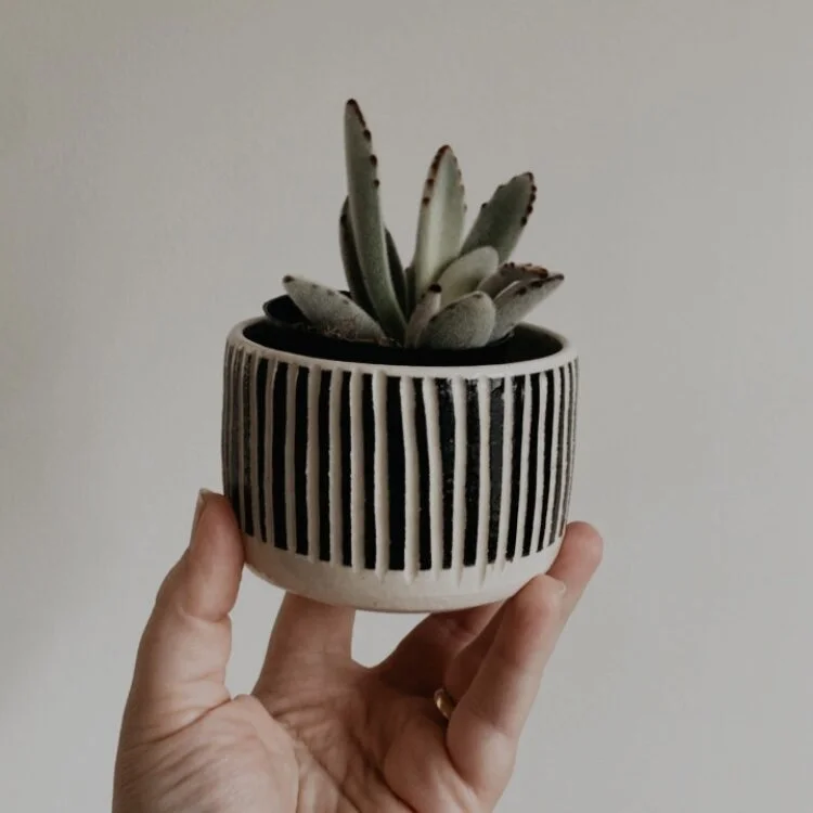 4D539E9C-38B9-439F-A905-59B870B6F46D