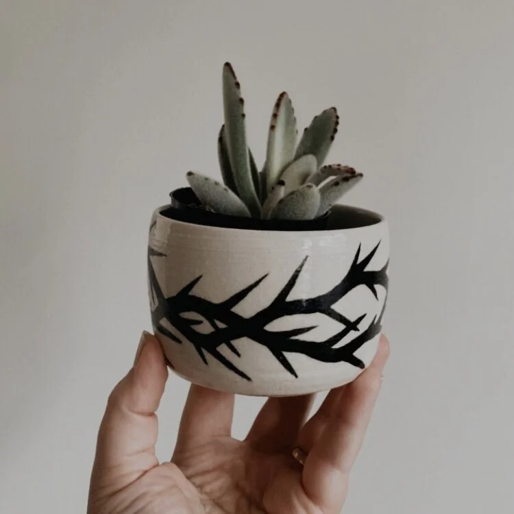 7A55ED73-C53E-477A-B6B1-D9A721B45B70