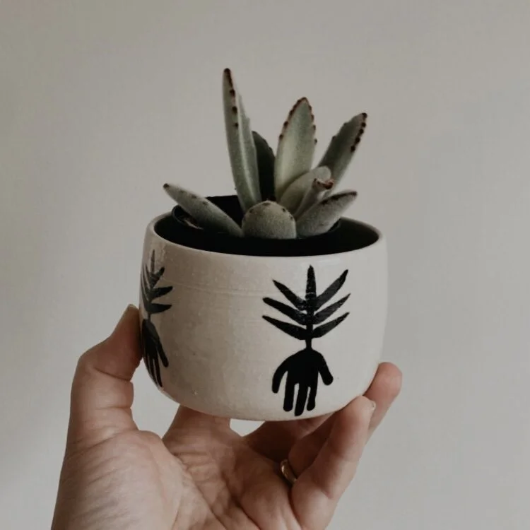 B7461FC0-8951-4DA3-8996-63BA44CB3A2E