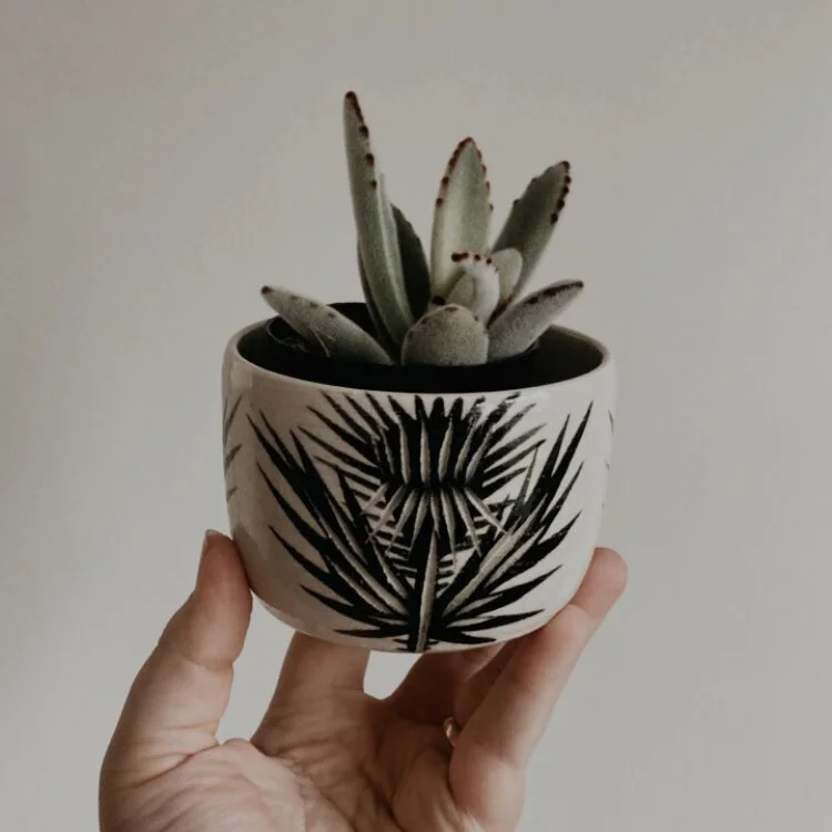 BCB346FB-2B5A-4D15-A9A9-3812AE3D072A