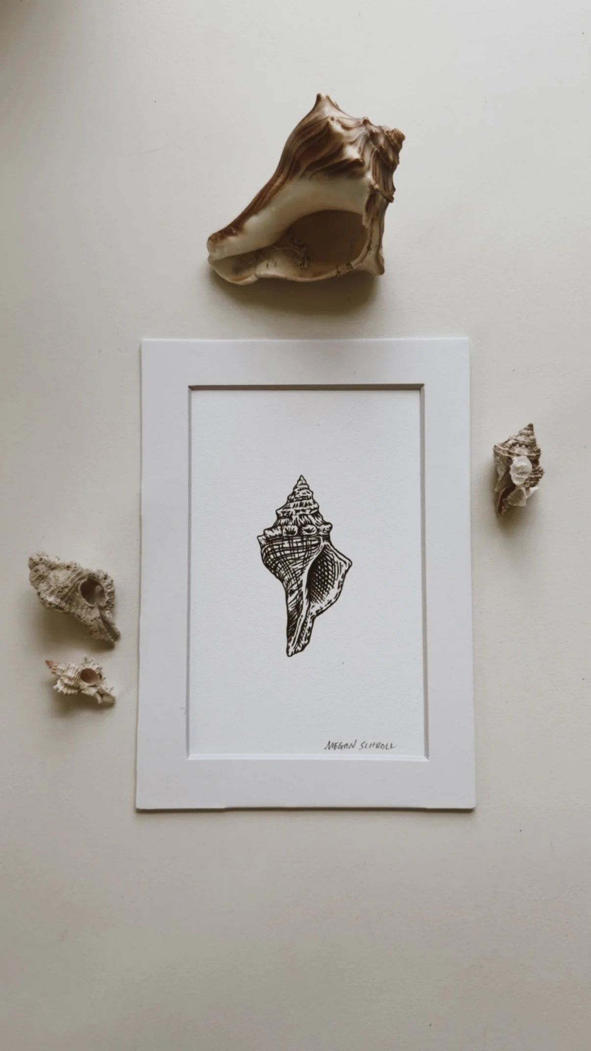 B6B02546-030B-4664-8353-31694D22D289.jpeg