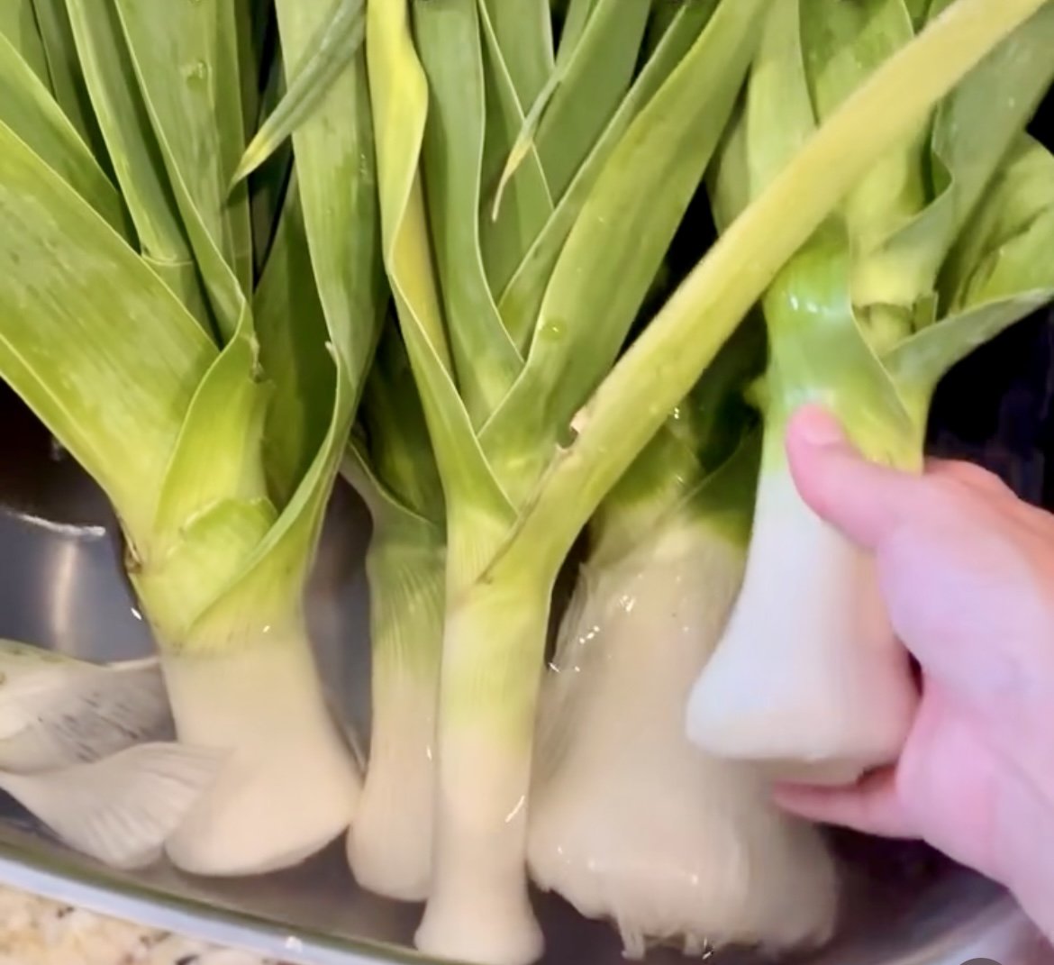 giant musselburg leek