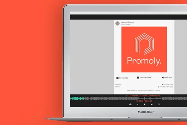 Partner-Graphic_Promoly.jpg