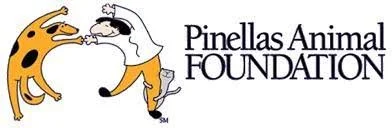 pinellas animal found.jpg