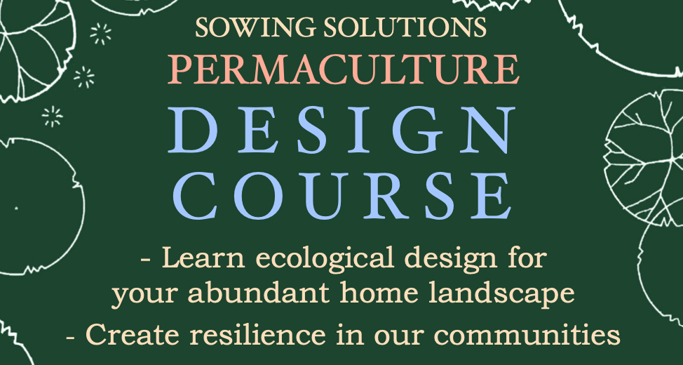 Spring 2026 Permaculture Design Certification Course with Sowing Solutions
