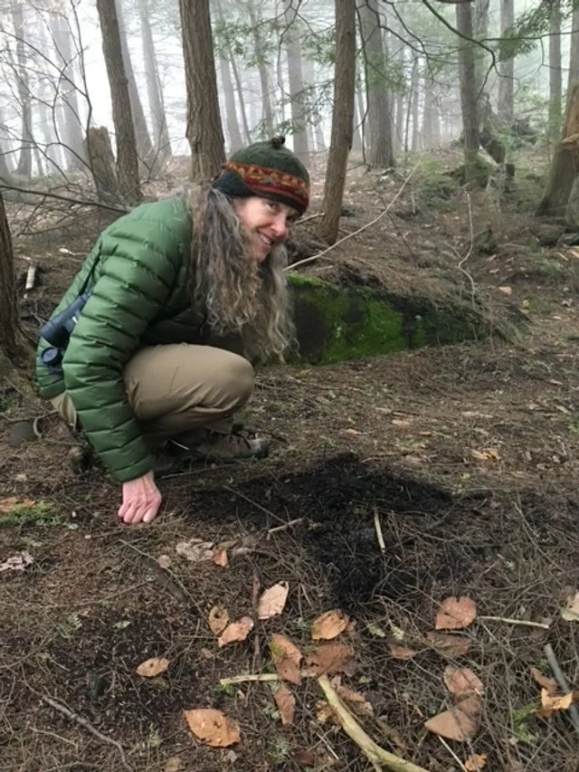 Wildlife Tracking ~ Reading the Stories of Our Wild Neighbors