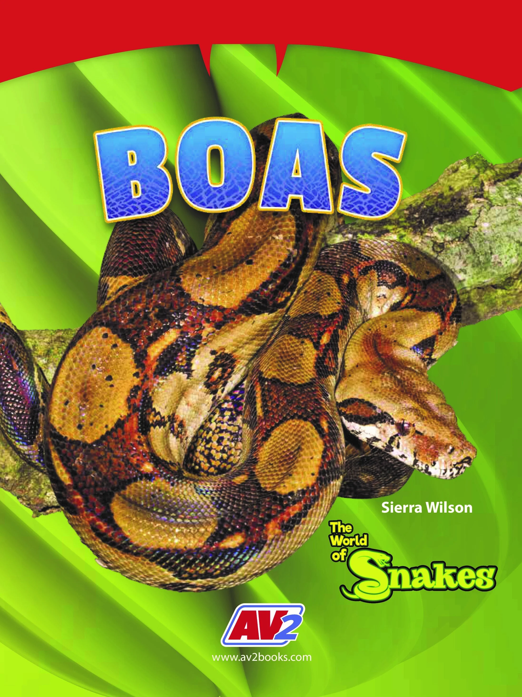 World of Snakes-Boas.jpg
