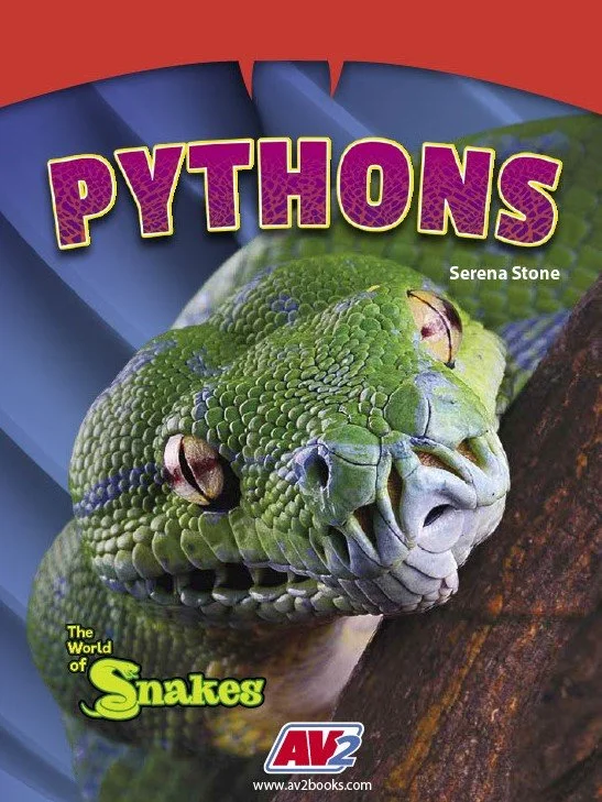World of Snakes-Pythons.jpg