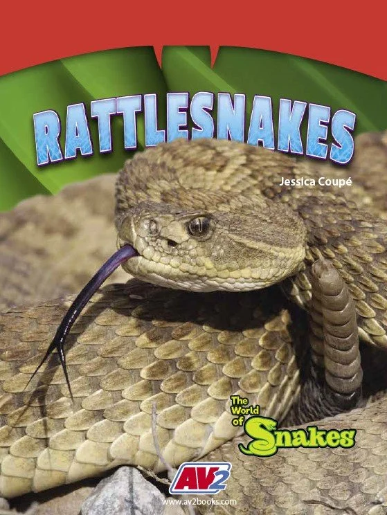 World of Snakes-Rattlesnakes.jpg