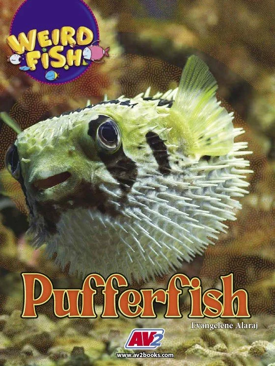 Weird Fish-Pufferfish.jpg