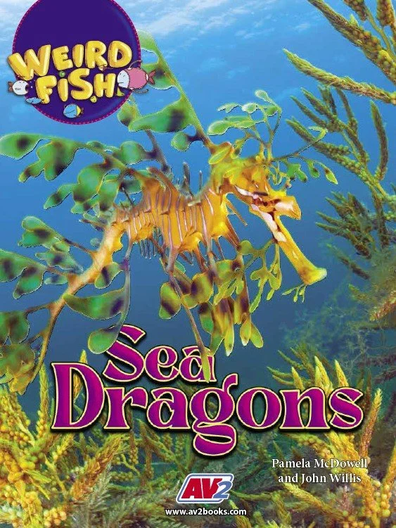Weird Fish-Sea Dragons.jpg