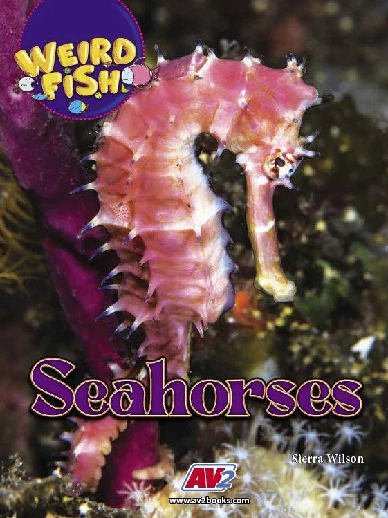Weird Fish-Seahorses.jpg