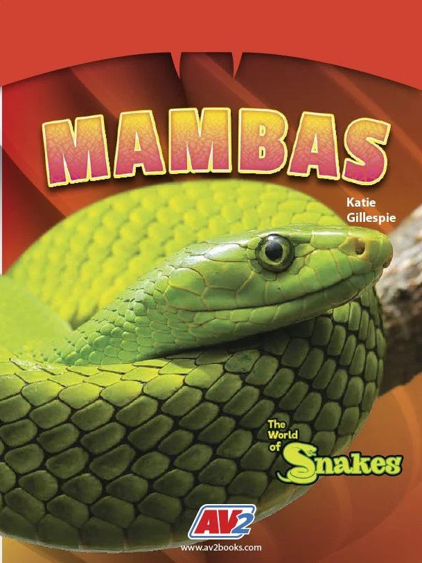 World of Snakes-Mambas.jpg