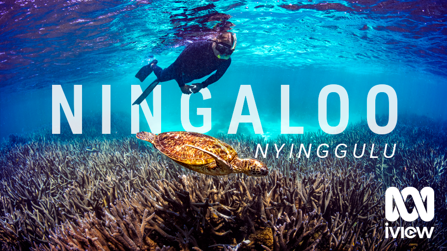 28_Ningaloo_C-0767_Fetch_16x9_910x512.png