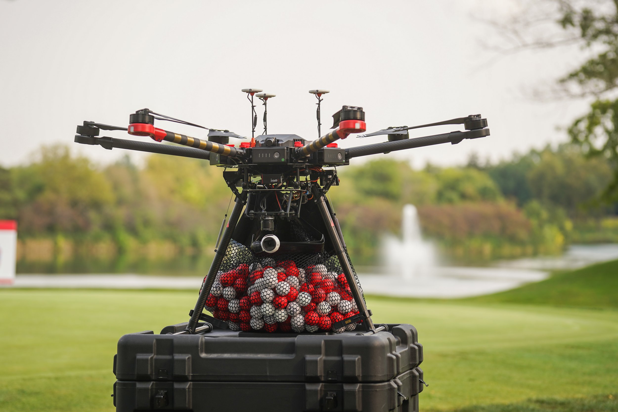 What Is A Golf Ball Drop Fundraiser at Evelyn Lawson blog