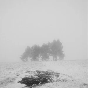 yc_the fog.jpeg