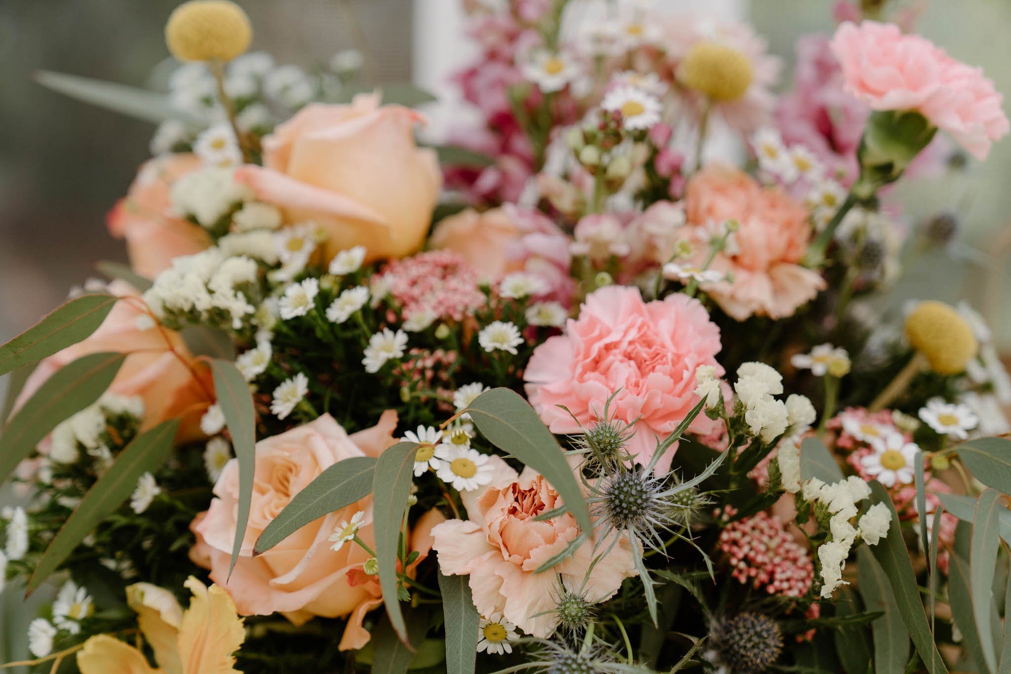 adriana-dylan-elopement-iris-aisle-winterset-iowa-raelyn-ramey-photography-5.jpg