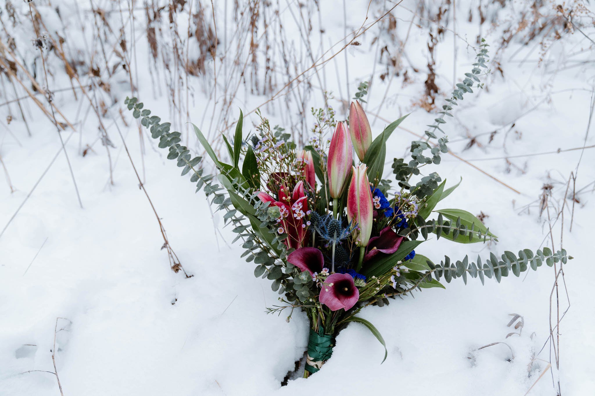 ashley-matt-elopement-iris-aisle-winterset-iowa-raelyn-ramey-photography-109.jpg