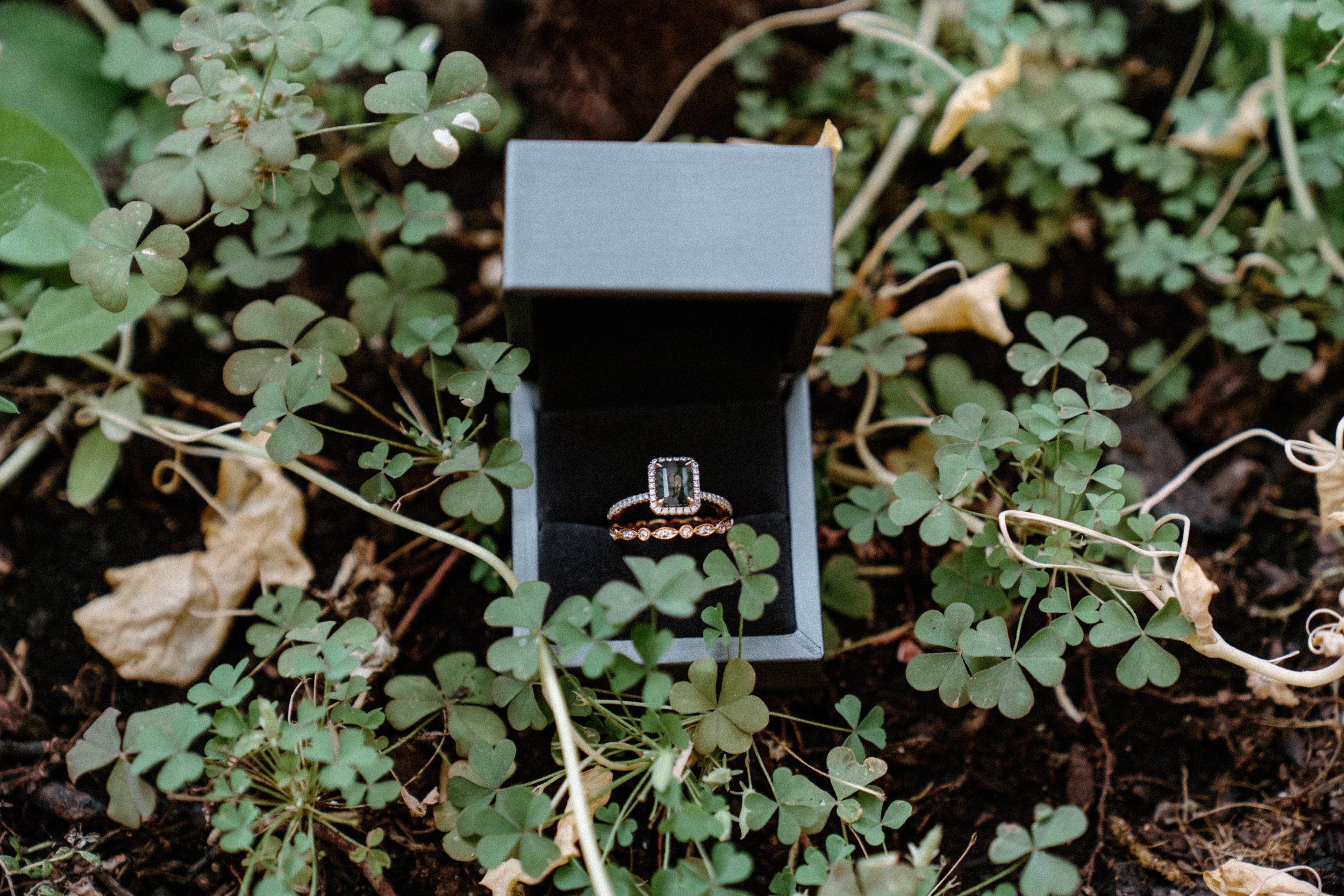 erin-matt-elopement-iris-aisle-winterset-iowa-raelyn-ramey-photography-51.jpg