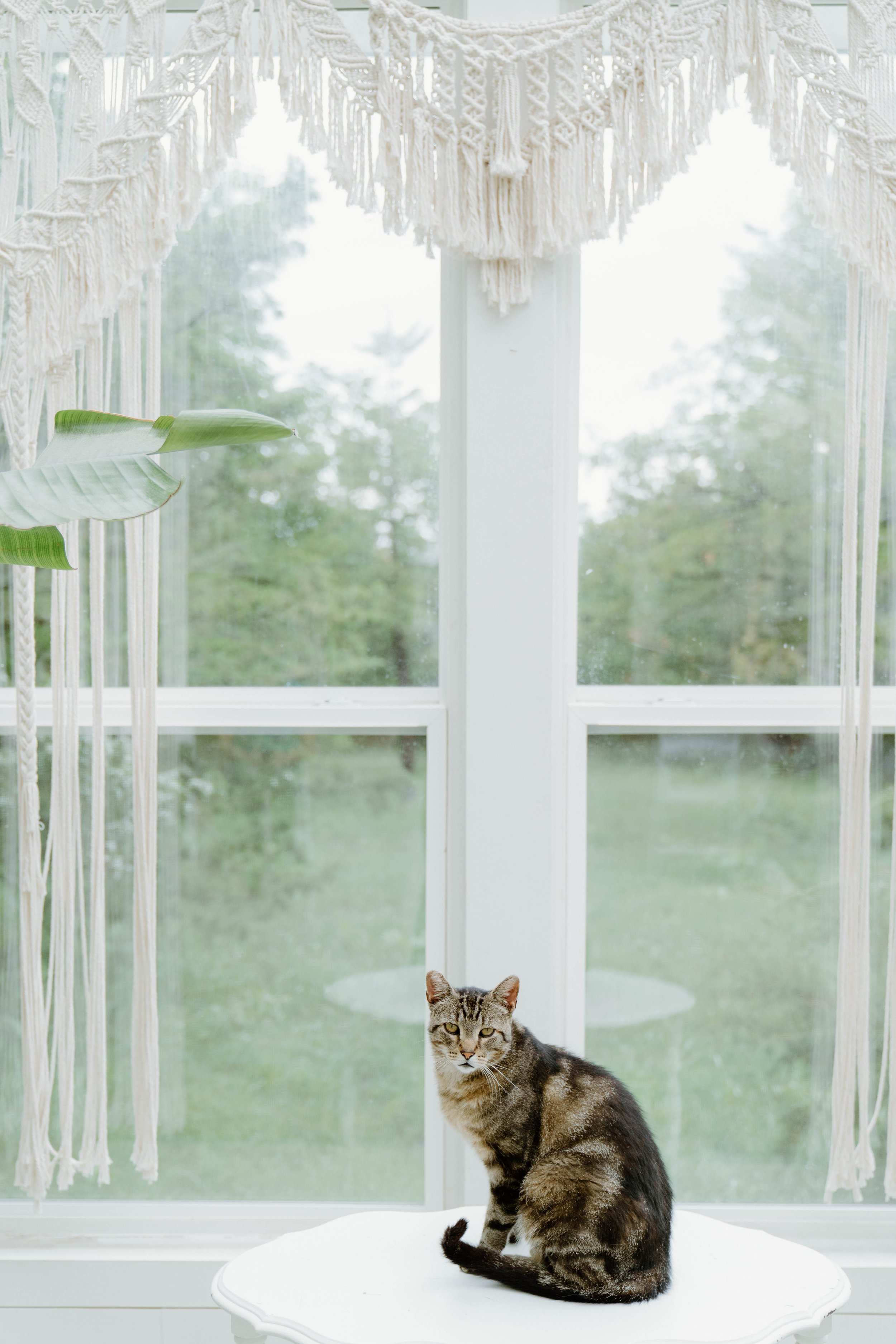 erin-matt-elopement-iris-aisle-winterset-iowa-raelyn-ramey-photography-53.jpg