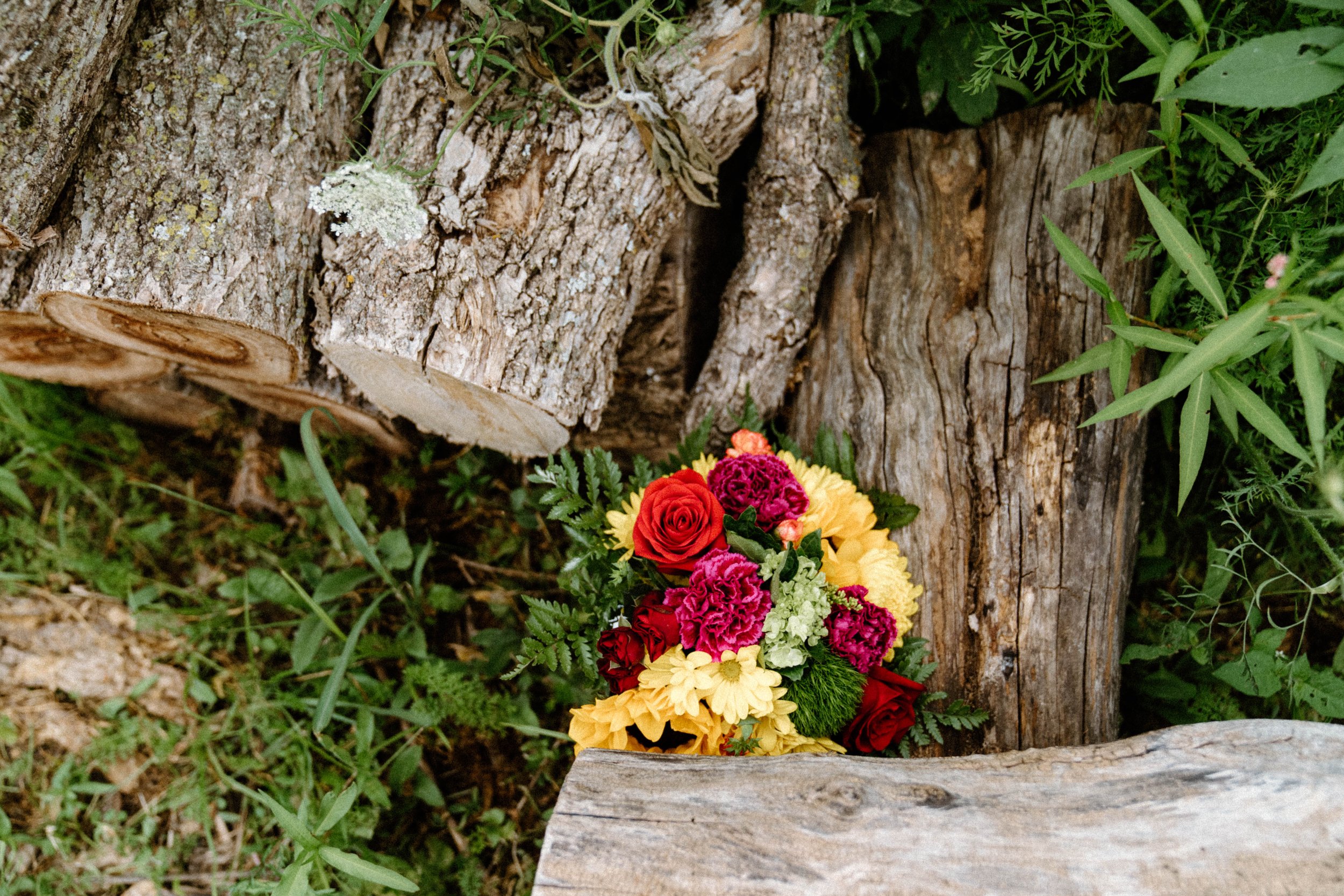 leanna-travis-elopement-iris-aisle-winterset-iowa-raelyn-ramey-photography-115.jpg