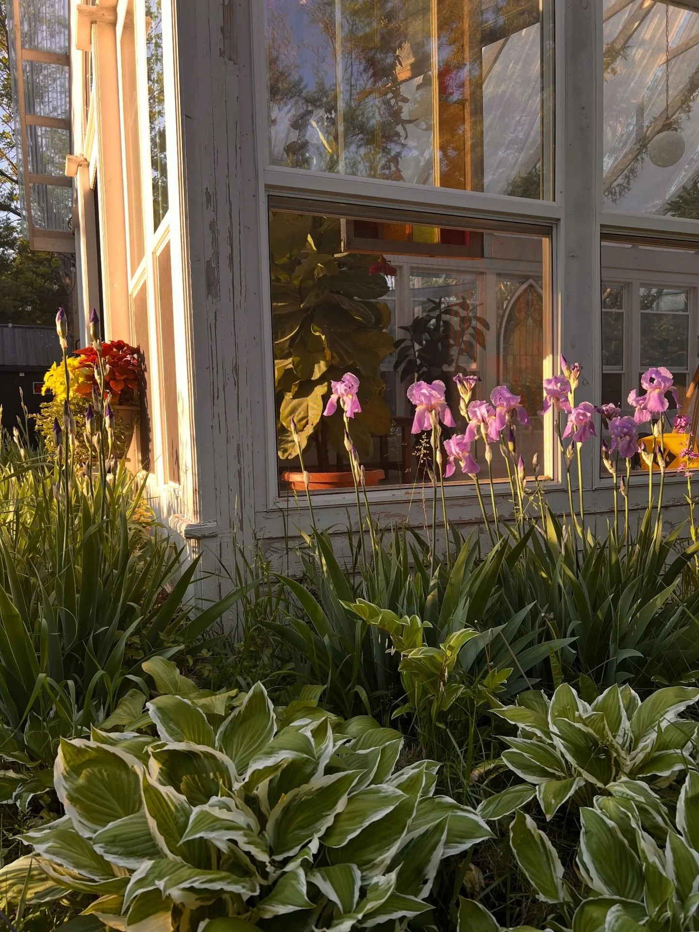 A prime date for 2027 just hit the open calendar!! May quickly becomes a favorite around here because the Irises come out to play. Have you ever smelt a purple iris?! It&rsquo;s Welches grape juice in a flower&hellip; hands down! 

Reach out through 