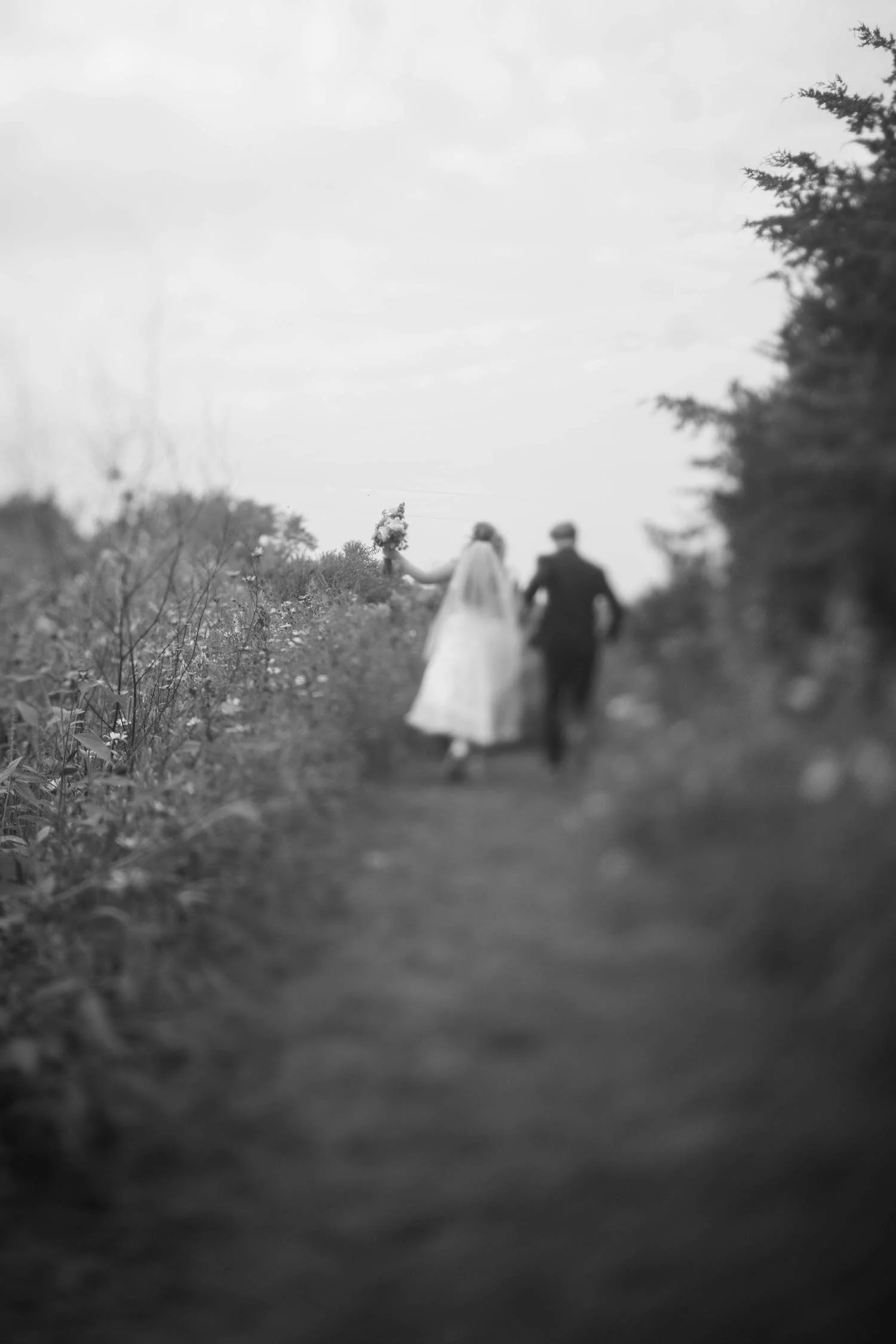emily-simon-elopement-iris-aisle-winterset-iowa-raelyn-ramey-photography-250.jpg