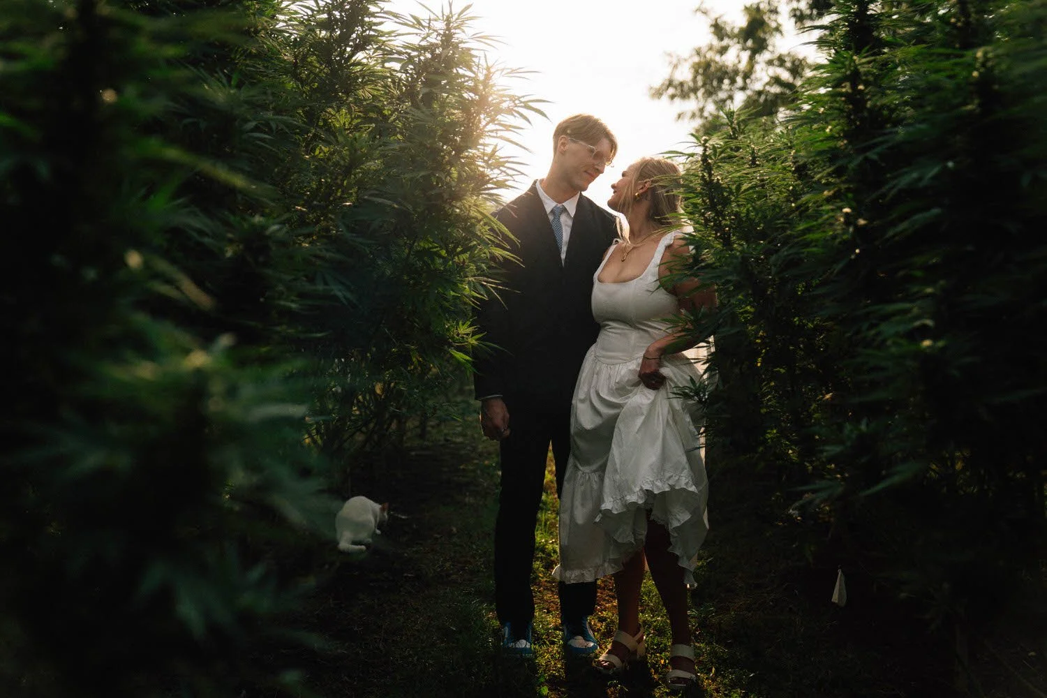 emily-simon-elopement-iris-aisle-winterset-iowa-raelyn-ramey-photography-305.jpg