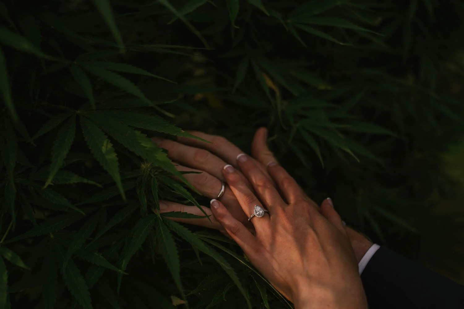 emily-simon-elopement-iris-aisle-winterset-iowa-raelyn-ramey-photography-309.jpg