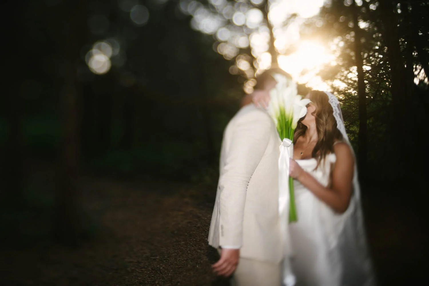 madison-spencer-elopement-iris-aisle-winterset-iowa-raelyn-ramey-photography-242.jpg