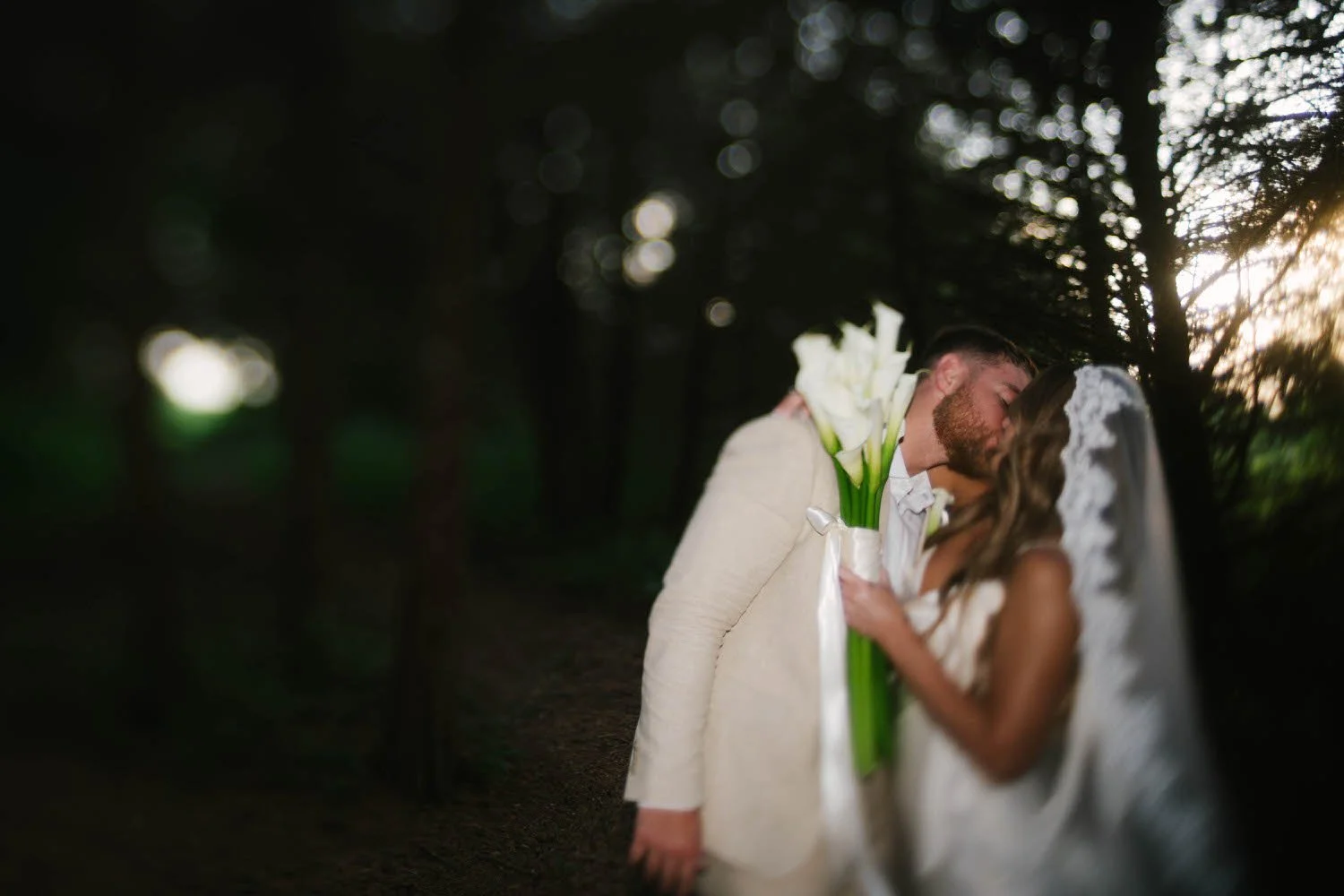 madison-spencer-elopement-iris-aisle-winterset-iowa-raelyn-ramey-photography-243.jpg