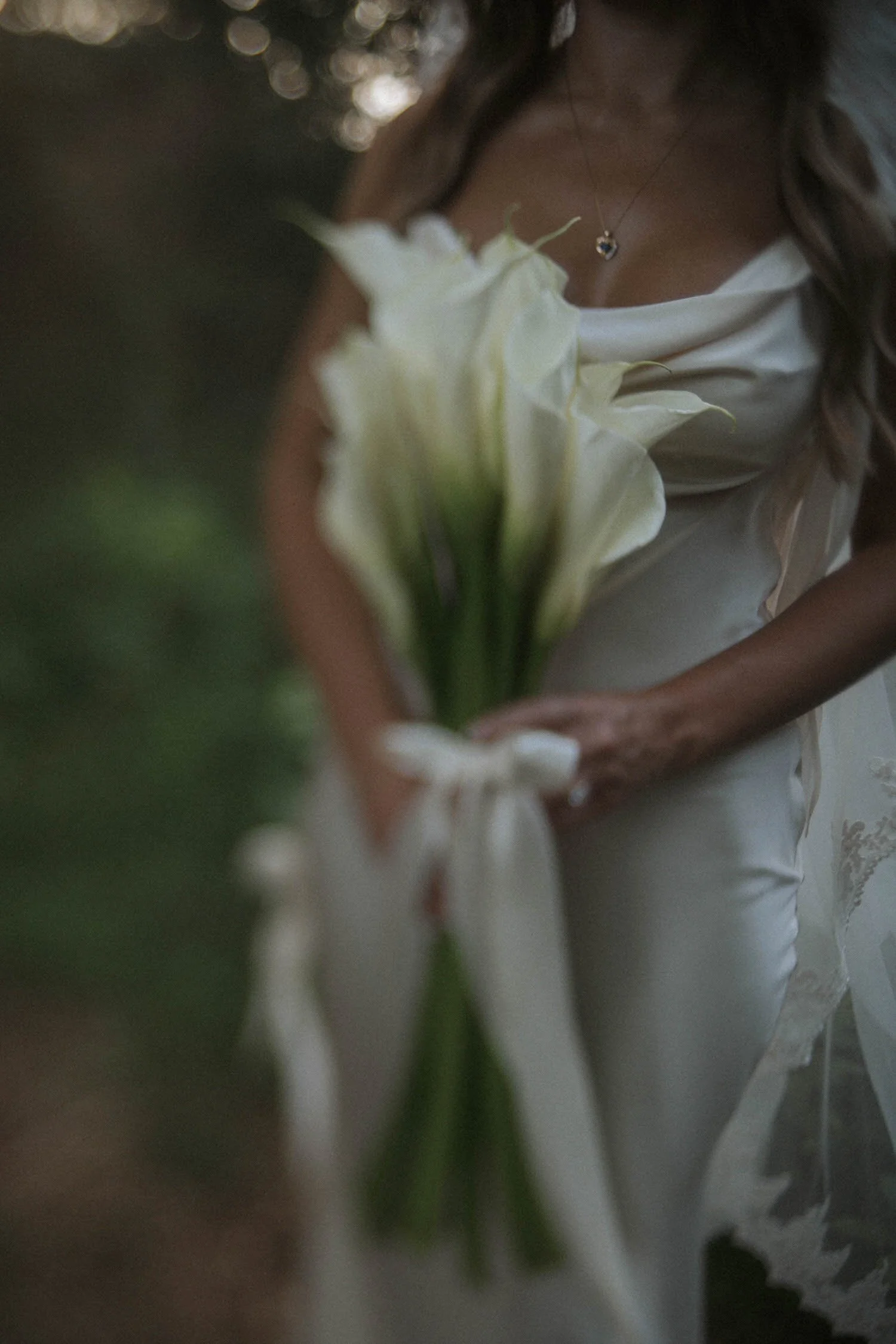 madison-spencer-elopement-iris-aisle-winterset-iowa-raelyn-ramey-photography-237.jpg
