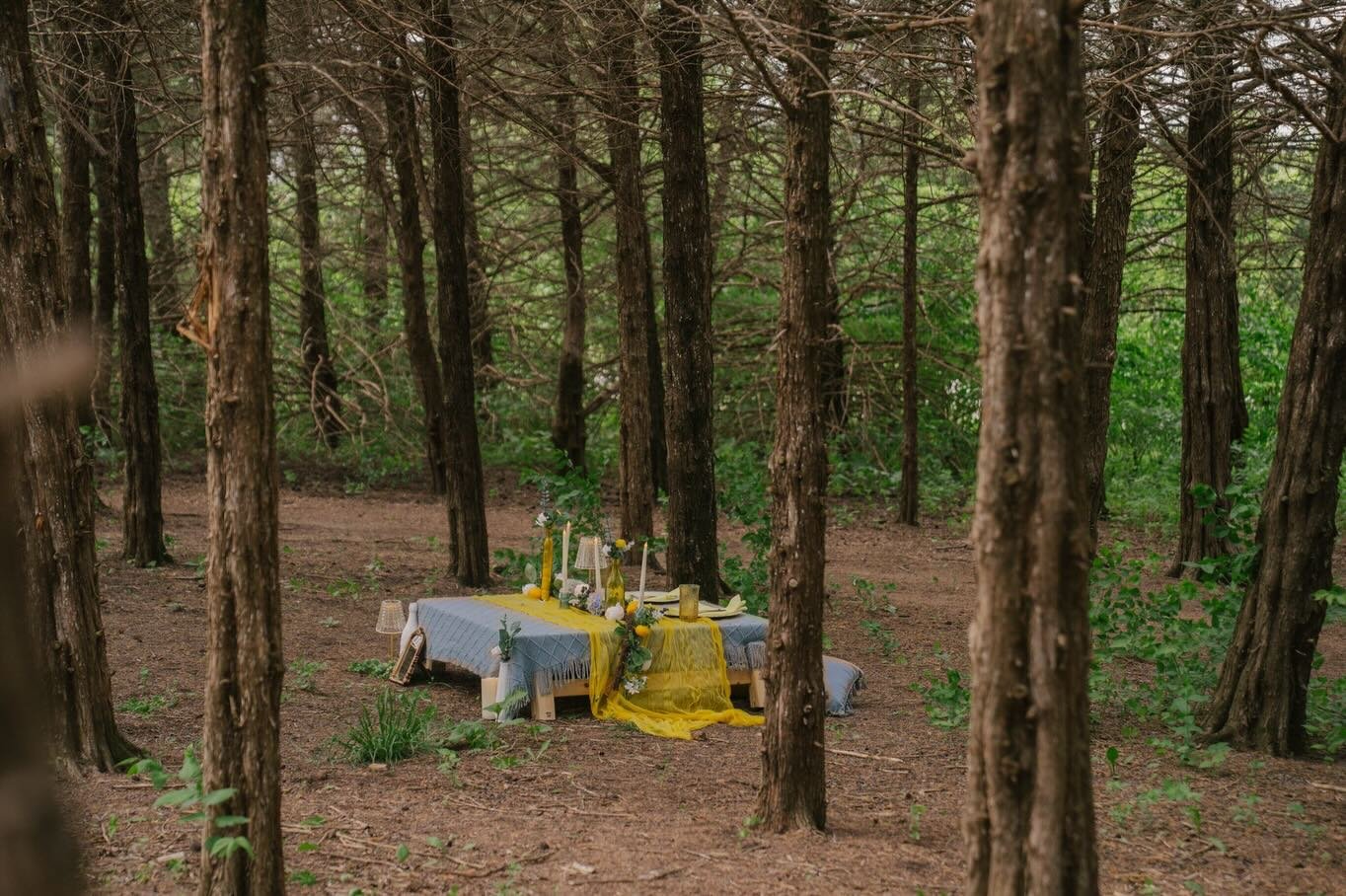 After so many people asked if we&rsquo;d be doing it again, we decided to sneak in a date one last time this year for our Picnic In The Forest dinner series. 

Picture this:

A private luxury picnic tucked into the cedar forest.

Just the two of you.