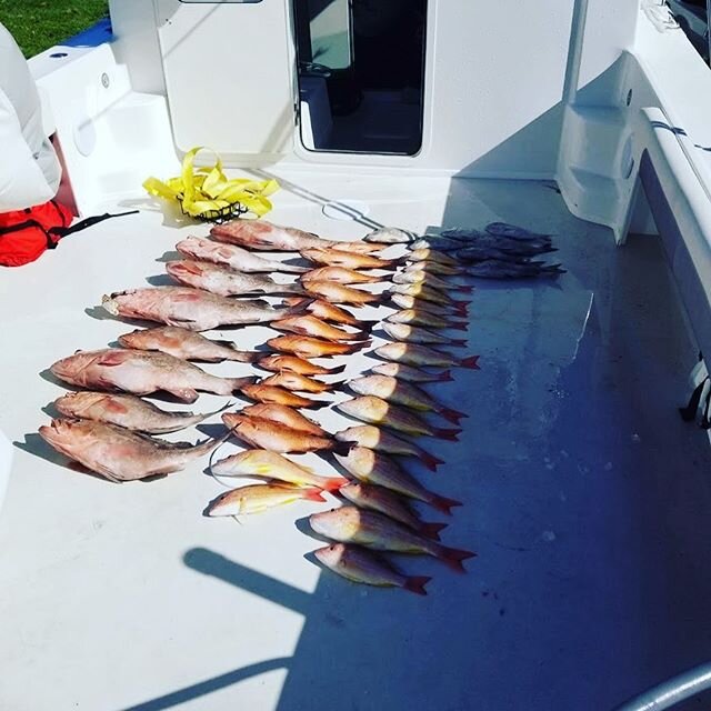 Never a bad day when your fishing with friends