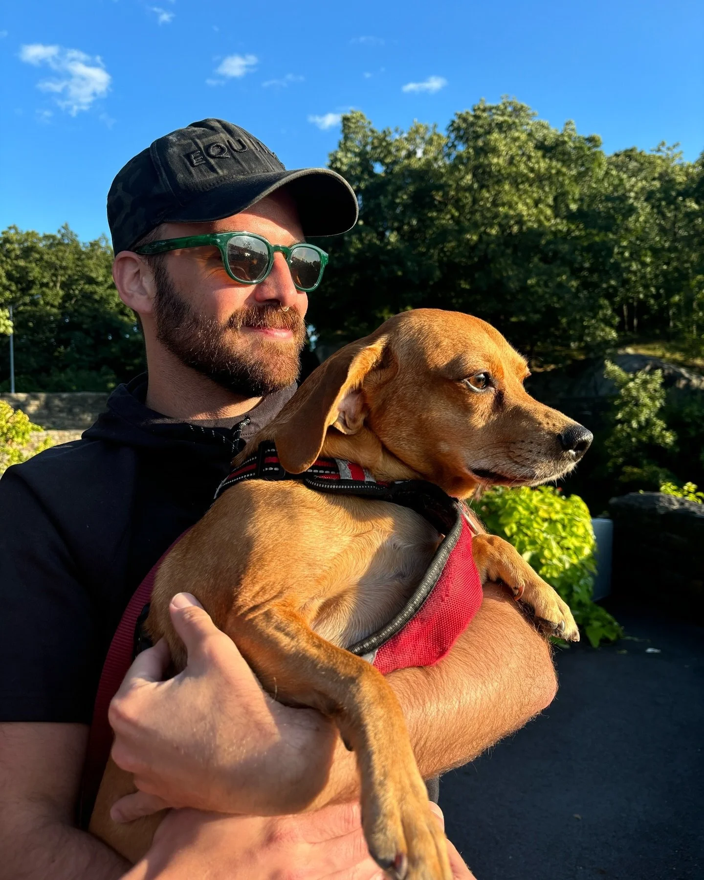 My Son, Th&egrave;o. 
&bull;
&bull;
&bull;
&bull;
&bull;
📸: @coleawinston 
&bull;
#dogsofinstagram #pupstarz #vincentdiperi #th&egrave;o