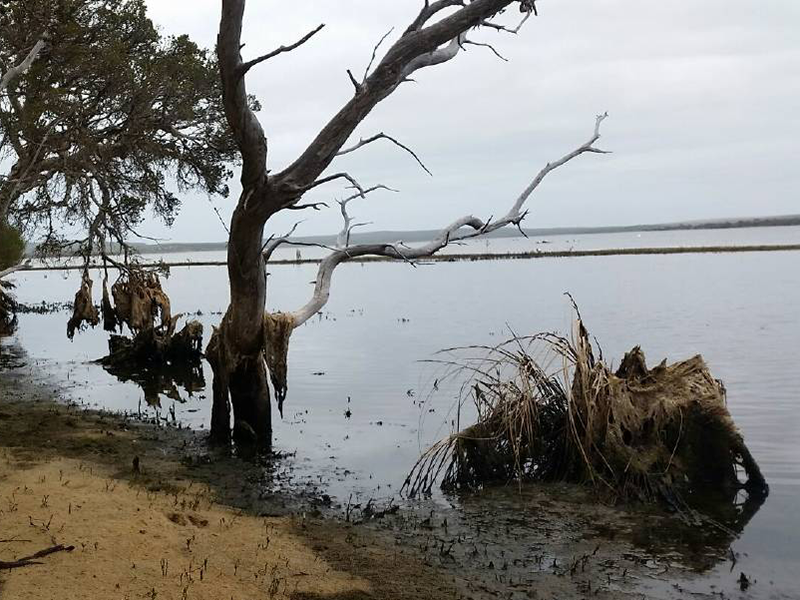 03-04-Southern-Soils-Ramsar-Wetland.png