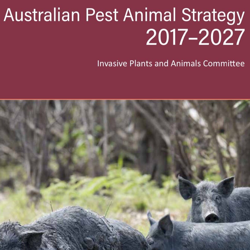 Rabbits, foxes, feral cats and starlings - Pests — SOUTHERN SOILS