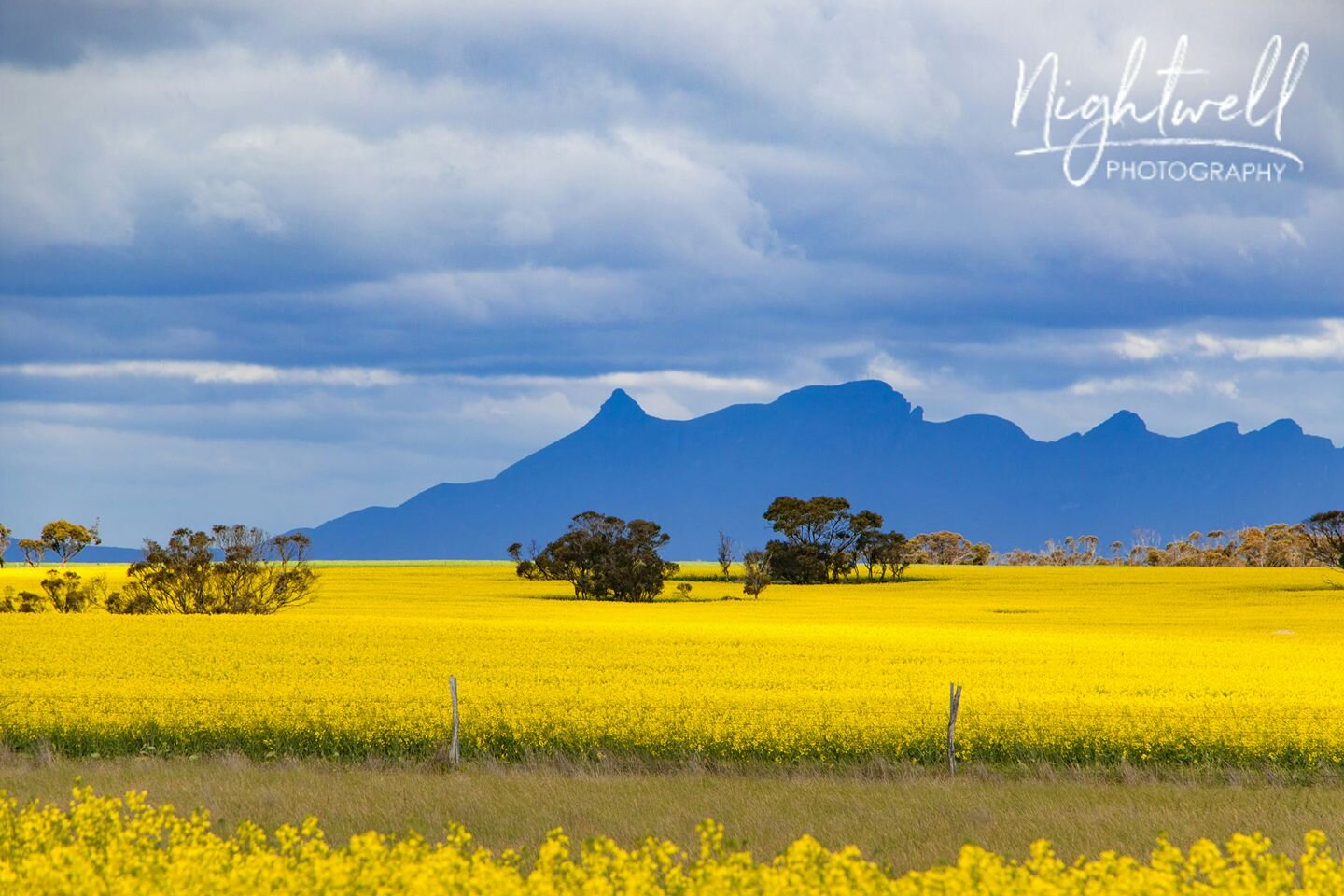 Banner Principal.jpg