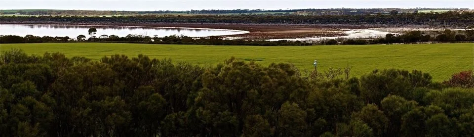 Banner Green Crop and Lake.jpg