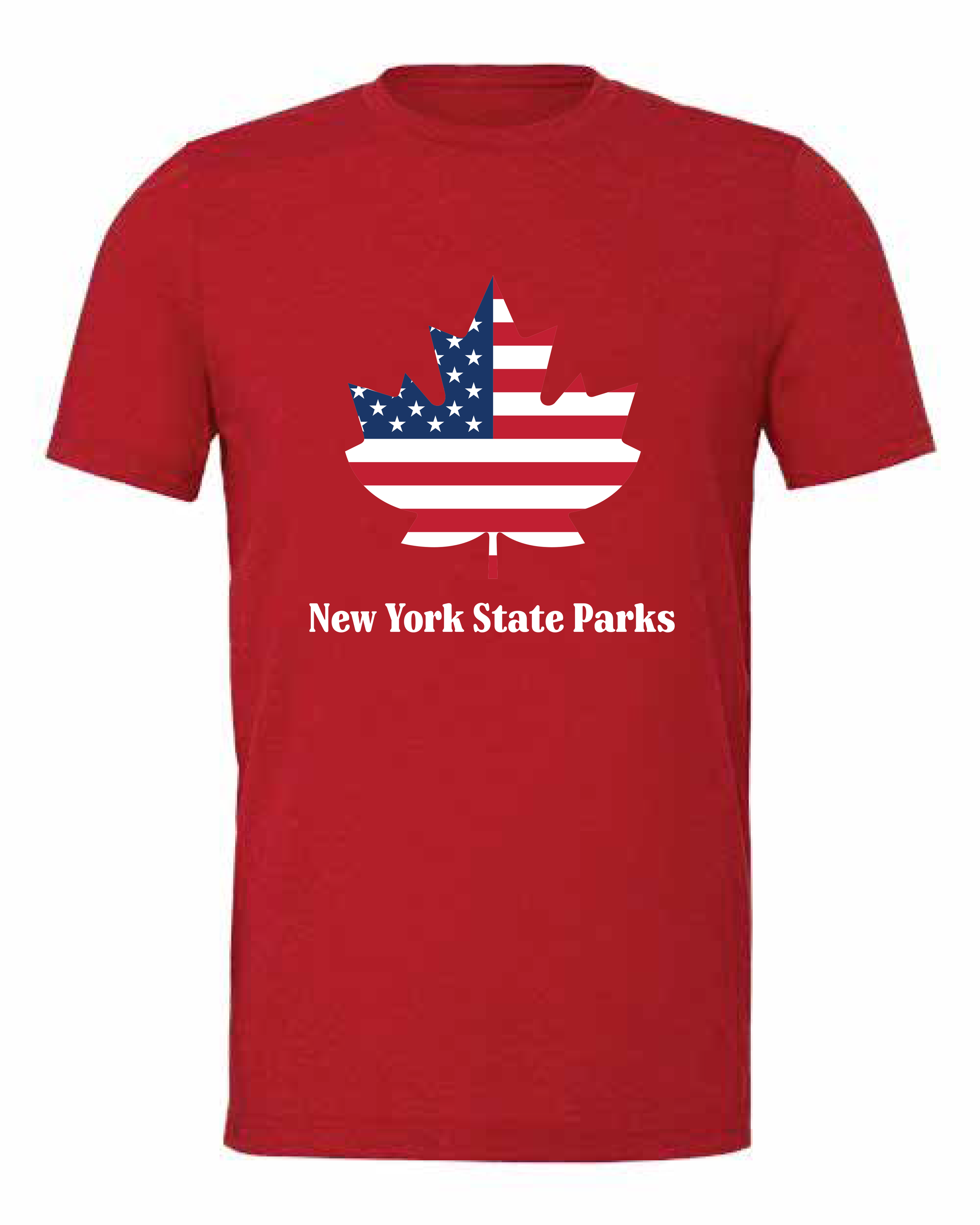 NYSP Spring 2023 mockup_v5-28.png