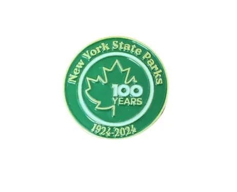 lapel pin 100 years.JPG
