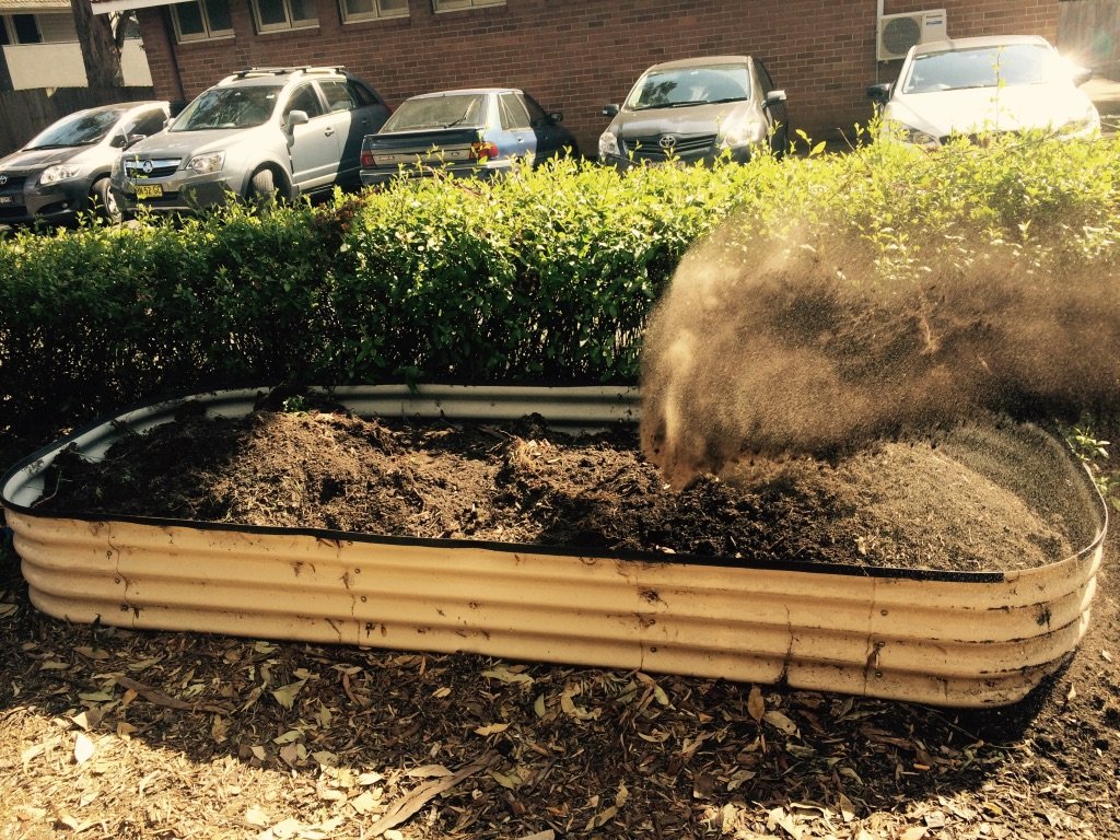 The Garden Begins!