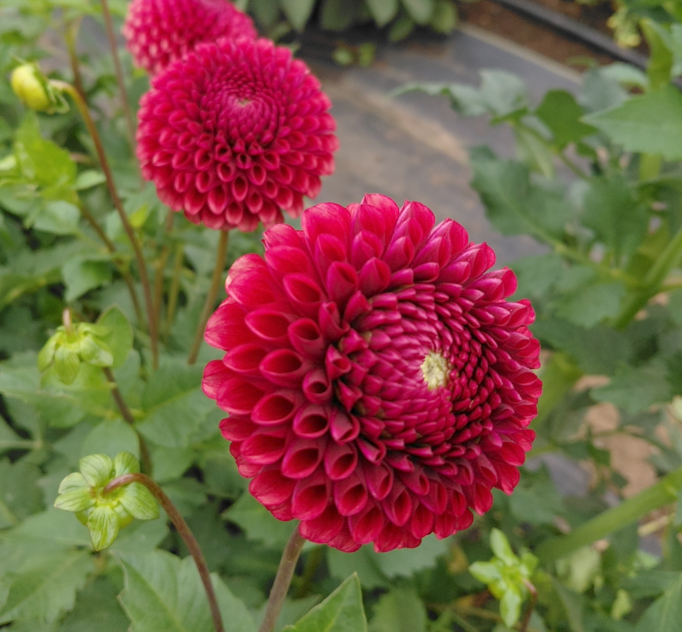 Screenshot 2026-03-11 121343.png