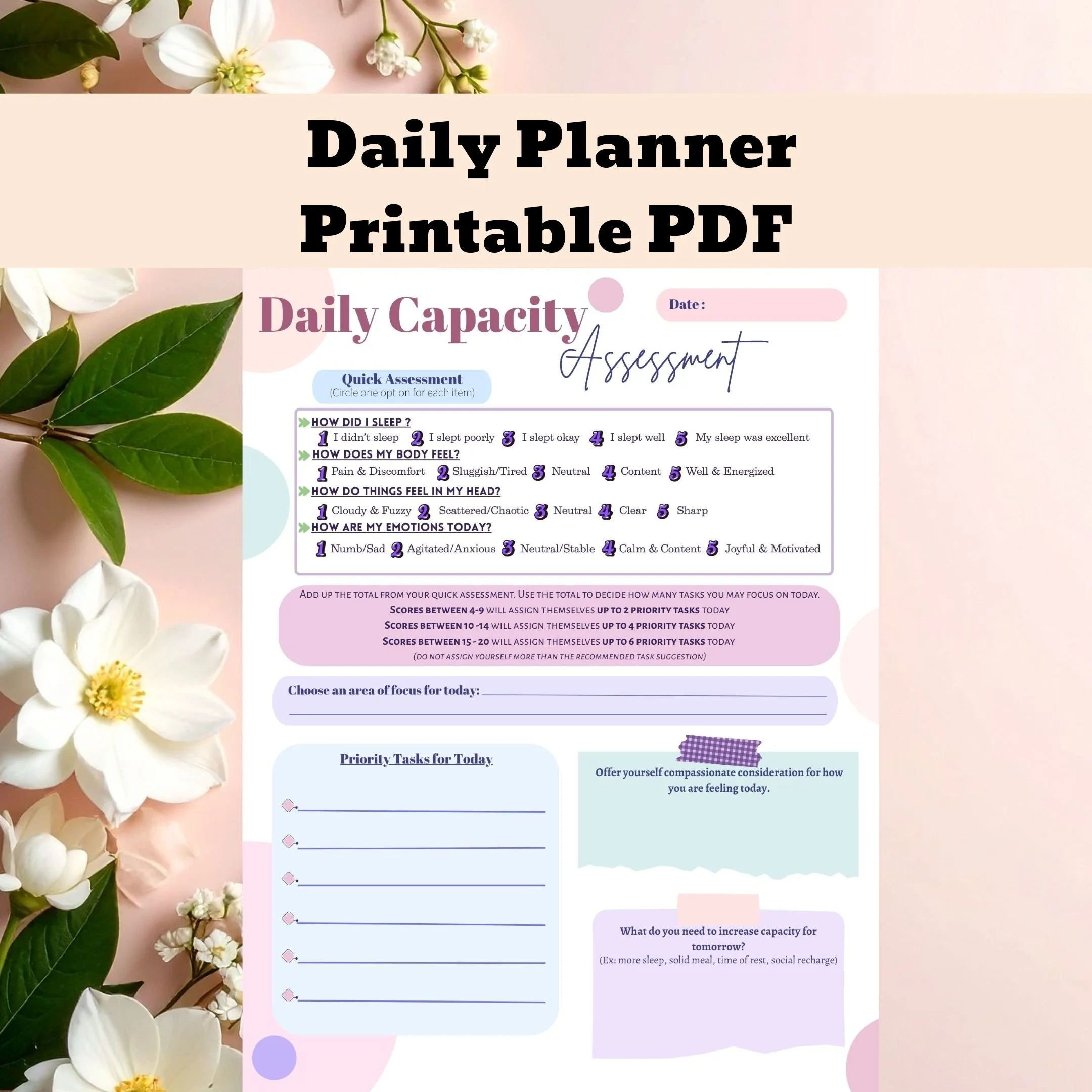 Daily Capacity Assessment - Planner Tool