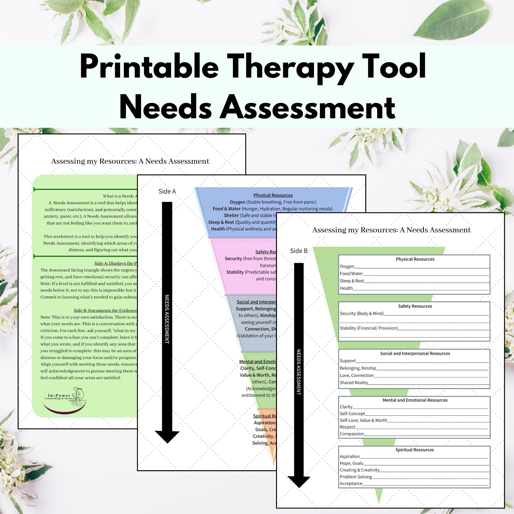 Assessing my Resources - A Needs Assessment