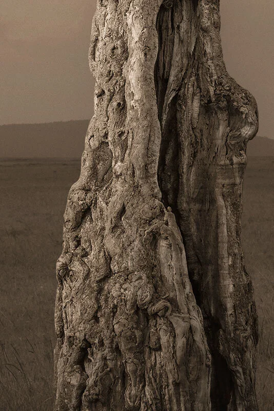 Tanz-Mas Mara-7-18-B_2492-2-Douglas MacRae-2.jpg