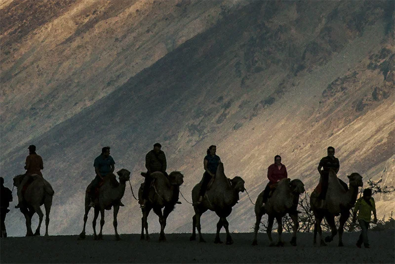 Ladakh-28-6-13_0434-Douglas MacRae-3.jpg