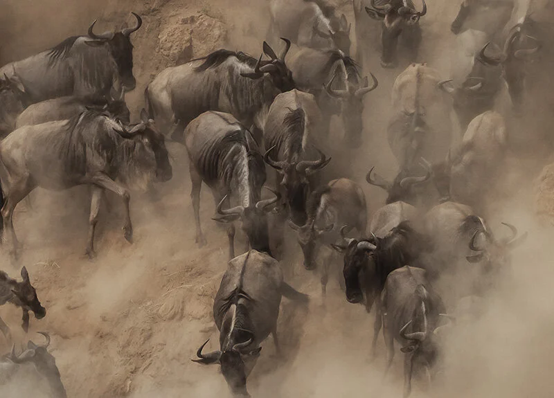 Kenya-DM-07-11_2941-C-Douglas MacRae-2.jpg