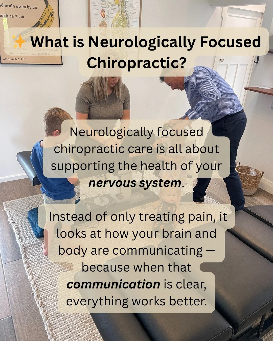 Ever wonder why some problems keep coming back?

Often it&rsquo;s not the muscles or the joints &mdash; it&rsquo;s the nervous system that controls and coordinates everything.

That&rsquo;s why neurologically focused chiropractic care looks deeper, h