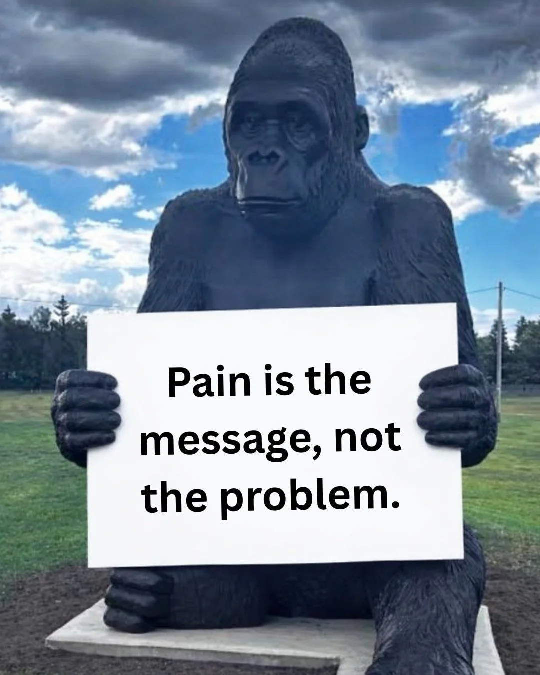 🦍 PAIN IS THE MESSAGE, NOT THE PROBLEM

Pain isn&rsquo;t your body betraying you &mdash; it&rsquo;s your body communicating with you.

Your brain creates pain as a protective signal when it believes something needs attention. That doesn&rsquo;t alwa